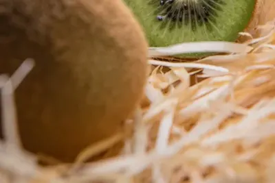 keep kiwi fresh