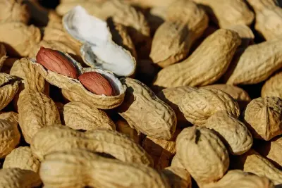 advice how to store peanuts