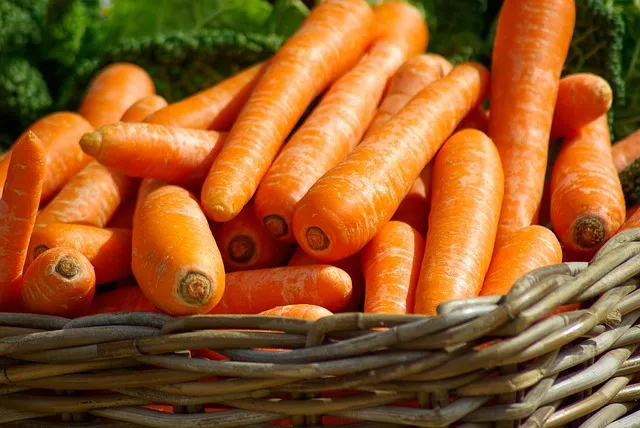 tips how to store carrots