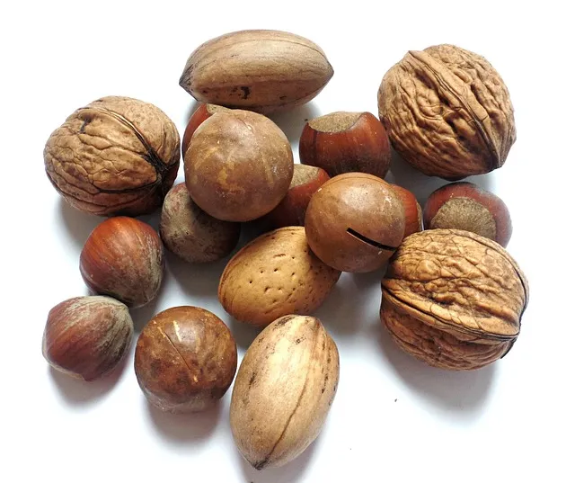tips how to store nuts