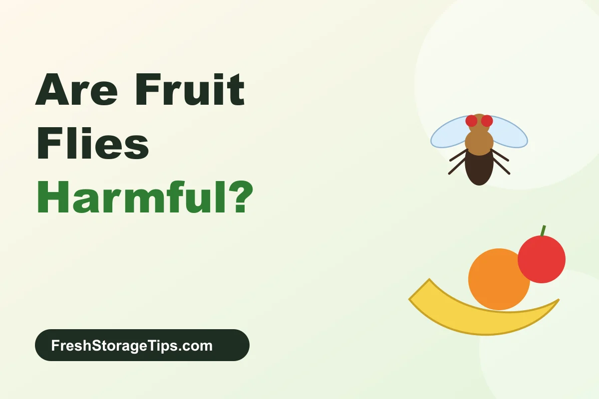 Illustration of a fruit fly above a banana and fruit, with the title Are Fruit Flies Harmful?